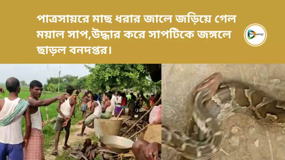 পাত্রসায়রে মাছ ধরার জালে জড়িয়ে গেল ময়াল সাপ,উদ্ধার করে সাপটিকে জঙ্গলে ছাড়ল বনদপ্তর।