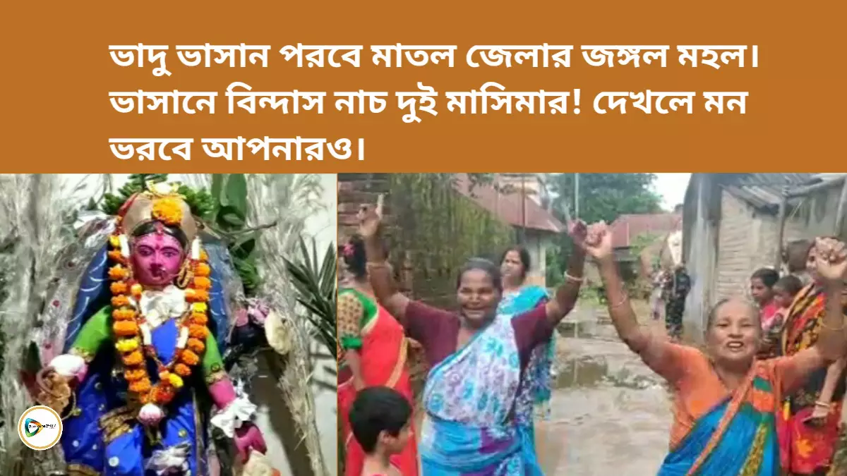 ভাদু ভাসান পরবে মাতল জেলার জঙ্গল মহল।ভাসানে বিন্দাস নাচ দুই মাসিমার! দেখলে মন ভরবে আপনারও।