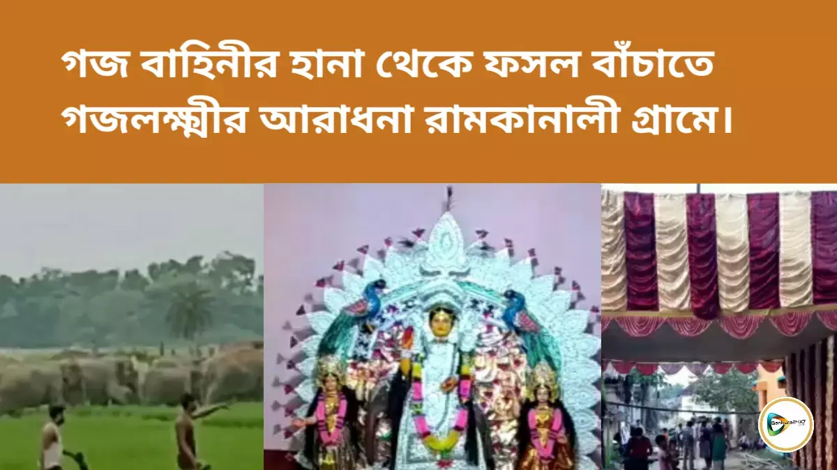 গজ বাহিনীর হানা থেকে ফসল বাঁচাতে গজলক্ষ্মীর আরাধনা রামকানালী গ্রামের বাসিন্দাদের।