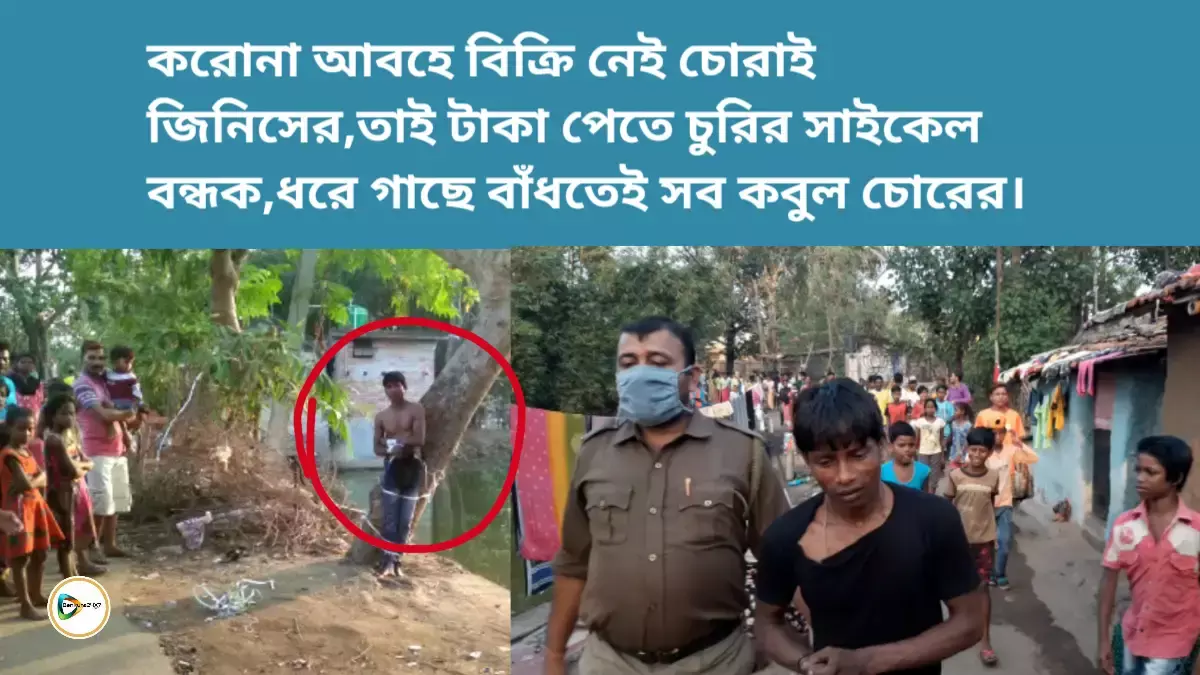 করোনা আবহে বিক্রি নেই চোরাই জিনিসের,তাই টাকা পেতে চুরির সাইকেল বন্ধক,ধরে গাছে বাঁধতেই সব কবুল চোরের। করোনা আবহে বিক্রি নেই চোরাই জিনিসের,তাই টাকা পেতে চুরির সাইকেল বন্ধক,ধরে গাছে বাঁধতেই সব কবুল চোরের।