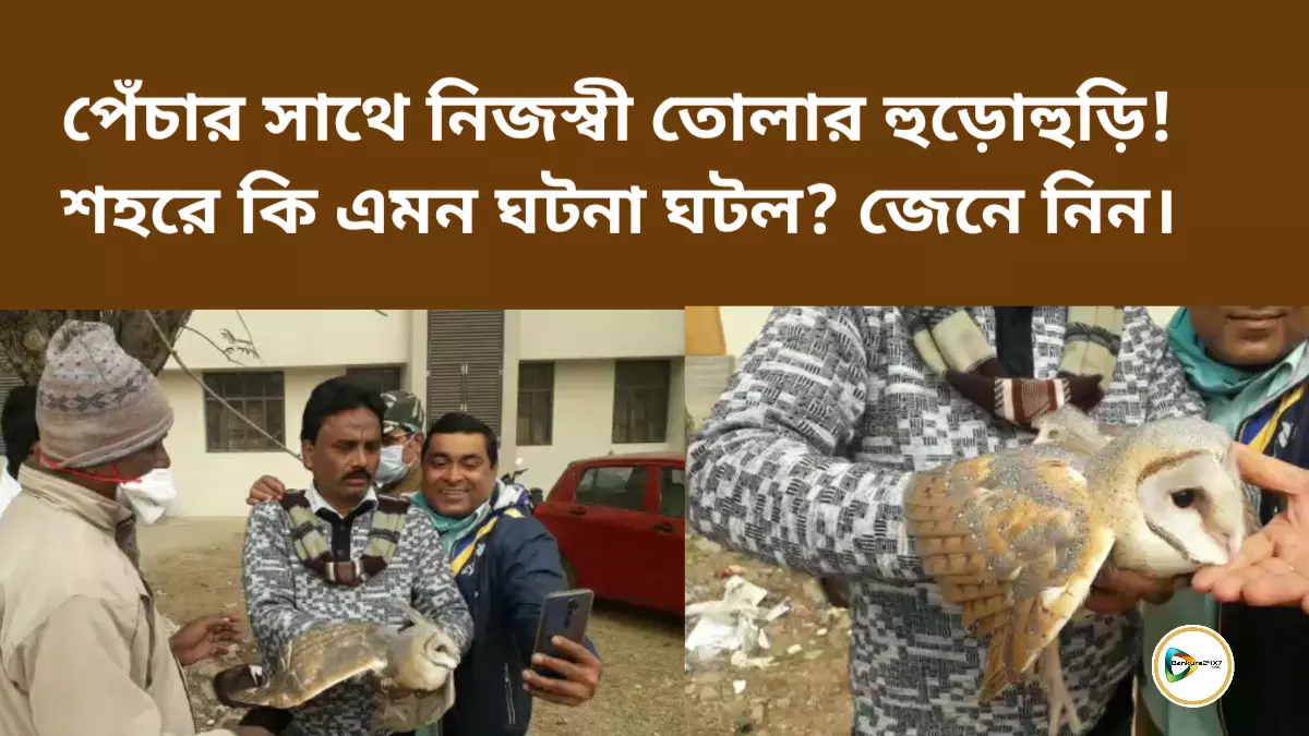 পেঁচার সাথে নিজস্বী তোলার হুড়োহুড়ি! শহরে কি এমন ঘটনা ঘটল?  জেনে নিন।