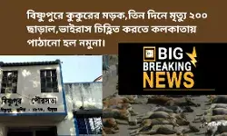 বিষ্ণুপুরে কুকুরের মড়ক, তিন দিনে মৃত্যু ২০০ ছাড়াল,ভাইরাস চিহ্ণিত করতে কলকাতায় পাঠানো হল নমুনা। বিষ্ণুপুরে কুকুরের মড়ক, তিন দিনে মৃত্যু ২০০ ছাড়াল,ভাইরাস চিহ্ণিত করতে কলকাতায় পাঠানো হল নমুনা।