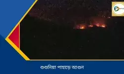 শুশুনিয়া পাহাড়ে আগুন! রাতে পাহাড় জুড়ে আগুনের ফুলকি।