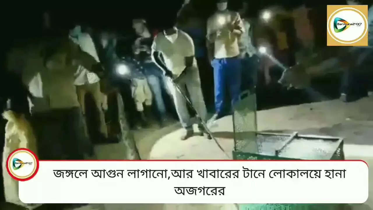 জঙ্গলে আগুন লাগানোর জের,আর খাবারের অভাব,লোকালয়ে হানা অজগরের,বিষ্ণুপুরের ভড়া গ্রামের ঘটনা।