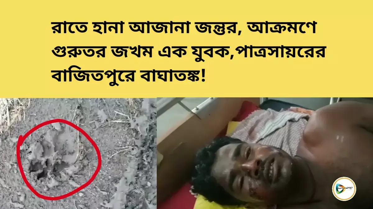 রাতে হানা আজানা জন্তুর, আক্রমণে গুরুতর জখম এক যুবক,পাত্রসায়রের বাজিতপুরে বাঘাতঙ্ক! রাতে হানা আজানা জন্তুর, আক্রমণে গুরুতর জখম এক যুবক,পাত্রসায়রের বাজিতপুরে বাঘাতঙ্ক!