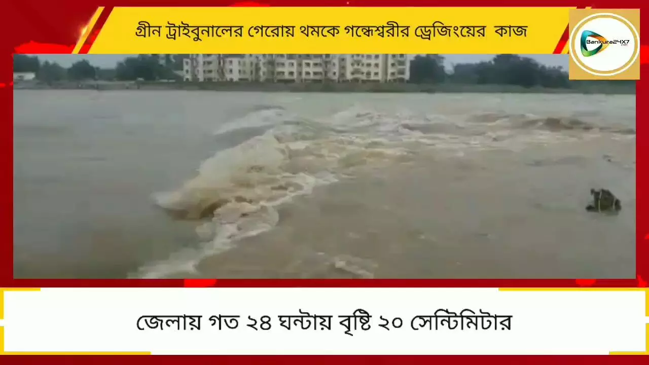 গত ২৪ ঘন্টায় ২০ সেমি বৃষ্টি জেলায়,গ্রীণ ট্রাইব্যুনালের গেরোয় আটকে নাব্যতা বৃদ্ধির কাজ,ফলে জল উপচে পড়ল গন্ধেশ্বরীতে। গত ২৪ ঘন্টায় ২০ সেমি বৃষ্টি জেলায়,গ্রীণ ট্রাইব্যুনালের গেরোয় আটকে নাব্যতা বৃদ্ধির কাজ,ফলে জল উপচে পড়ল গন্ধেশ্বরীতে।