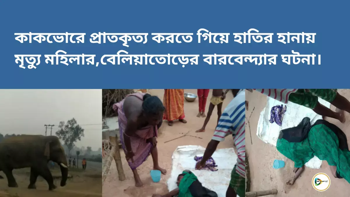 কাকভোরে প্রাতকৃত্য করতে গিয়ে হাতির হানায় মৃত্যু মহিলার,বেলিয়াতোড়ের বারবেন্দ্যার ঘটনা।