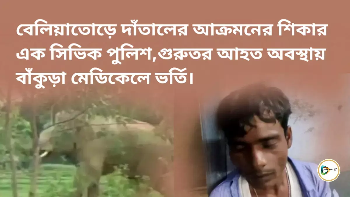 বেলিয়াতোড় দাঁতালের আক্রমণের শিকার এক সিভিক পুলিশ,গুরুতর আহত অবস্থায় বাঁকুড়া মেডিকেলে ভর্তি। বেলিয়াতোড় দাঁতালের আক্রমণের শিকার এক সিভিক পুলিশ,গুরুতর আহত অবস্থায় বাঁকুড়া মেডিকেলে ভর্তি।