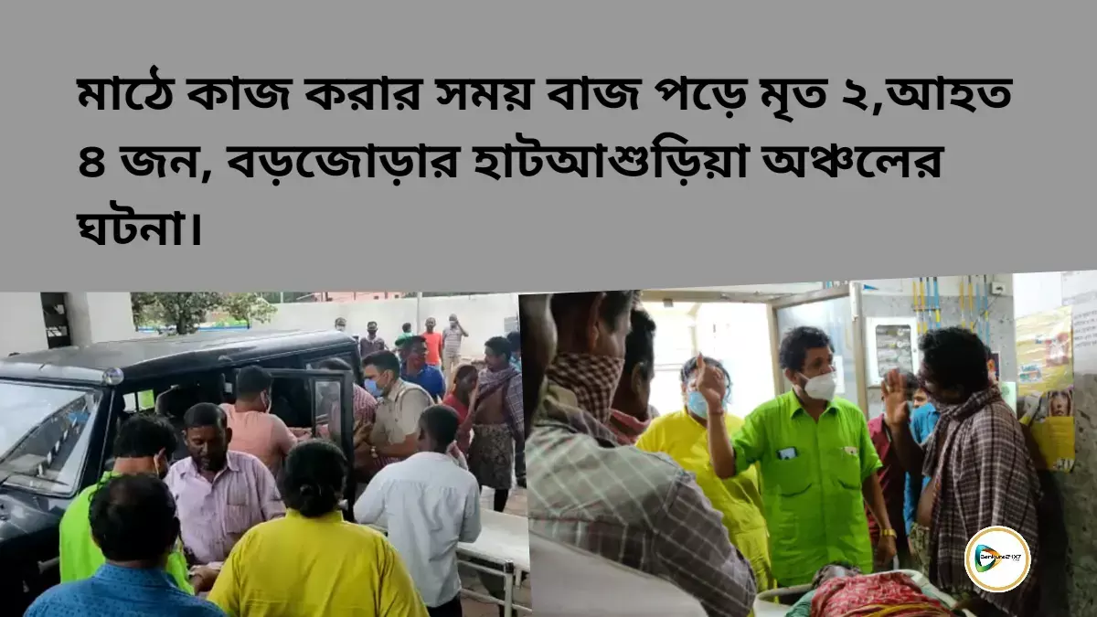মাঠে কাজ করার সময় বাজ পড়ে মৃত ২,আহত ৪ জন, বড়জোড়ার হাটআশুড়িয়া অঞ্চলের ঘটনা। মাঠে কাজ করার সময় বাজ পড়ে মৃত ২,আহত ৪ জন, বড়জোড়ার হাটআশুড়িয়া অঞ্চলের ঘটনা।