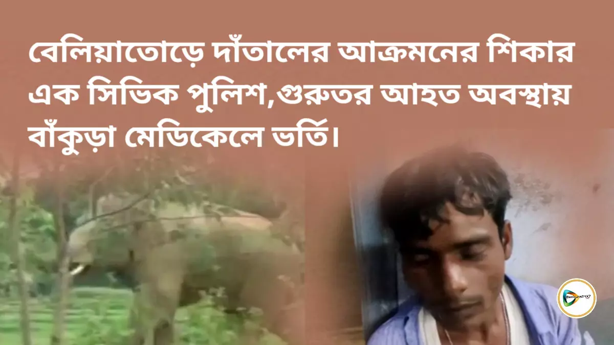 বেলিয়াতোড় দাঁতালের আক্রমণের শিকার এক সিভিক পুলিশ,গুরুতর আহত অবস্থায় বাঁকুড়া মেডিকেলে ভর্তি।