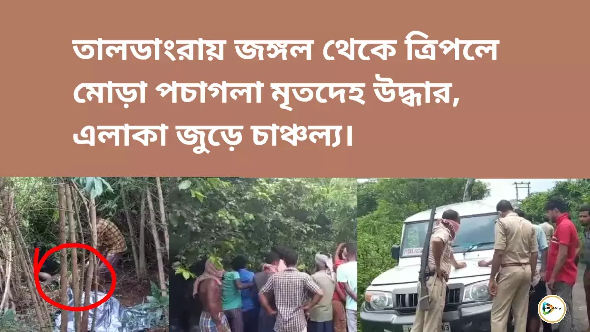 তালডাংরায় জঙ্গল থেকে ত্রিপলে মোড়া পচা গলা মৃতদেহ উদ্ধার, এলাকা জুড়ে চাঞ্চল্য। তালডাংরায় জঙ্গল থেকে ত্রিপলে মোড়া পচা গলা মৃতদেহ উদ্ধার, এলাকা জুড়ে চাঞ্চল্য।