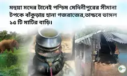 মহুয়া মদের টানেই পশ্চিম মেদিনীপুরের সীমানা টপকে বাঁকুড়ায় হানা গজরাজের,তান্ডবে ভাঙ্গল ১৫ টি মাটির বাড়ি। মহুয়া মদের টানেই পশ্চিম মেদিনীপুরের সীমানা টপকে বাঁকুড়ায় হানা গজরাজের,তান্ডবে ভাঙ্গল ১৫ টি মাটির বাড়ি।