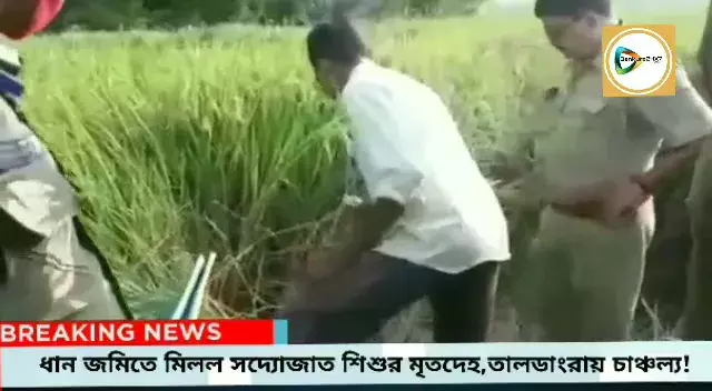 ধান জমি থেকে উদ্ধার সদ্যোজাত শিশুর পচাগলা মৃতদেহ,চাঞ্চল্য তালডাংরার কেশাতড়া গ্রামে। ধান জমি থেকে উদ্ধার সদ্যোজাত শিশুর পচাগলা মৃতদেহ,চাঞ্চল্য তালডাংরার কেশাতড়া গ্রামে।