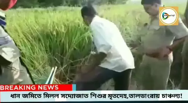 ধান জমি থেকে উদ্ধার সদ্যোজাত শিশুর পচাগলা মৃতদেহ,চাঞ্চল্য তালডাংরার কেশাতড়া গ্রামে।