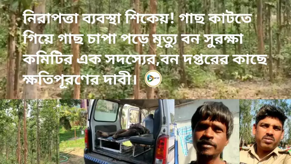 নিরাপত্তা ব্যবস্থা শিকেয়! গাছ কাটতে গিয়ে গাছ চাপা পড়ে মৃত্যু বন সুরক্ষা কমিটির এক সদস্যের,বন দপ্তরের কাছে ক্ষতিপূরণের দাবী। নিরাপত্তা ব্যবস্থা শিকেয়! গাছ কাটতে গিয়ে গাছ চাপা পড়ে মৃত্যু বন সুরক্ষা কমিটির এক সদস্যের,বন দপ্তরের কাছে ক্ষতিপূরণের দাবী।