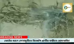 ভোটের আগে গত রাতে সোনামুখীতে বিজেপি প্রার্থীর বাড়ী লক্ষ্য করে বোমাবাজি,এলাকায় চাঞ্চল্য। ভোটের আগে গত রাতে সোনামুখীতে বিজেপি প্রার্থীর বাড়ী লক্ষ্য করে বোমাবাজি,এলাকায় চাঞ্চল্য।