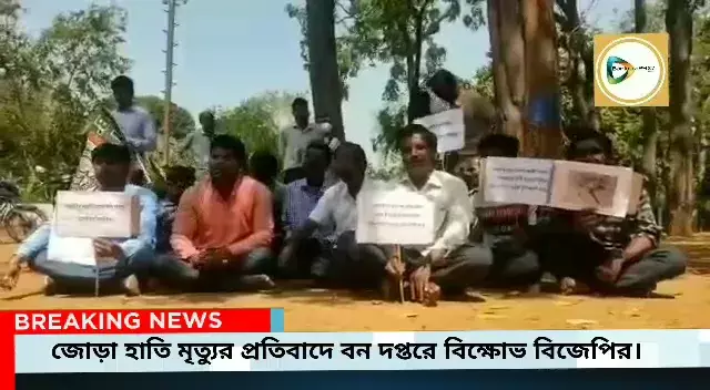 জেলায় সাম্প্রতিক জোড়া হাতির মৃত্যুর প্রতিবাদ, দোষীদের শাস্তি ও ময়নাতদন্তের রিপোর্ট প্রকাশের দাবীতে বন দপ্তরে বিক্ষোভ বিজেপি। জেলায় সাম্প্রতিক জোড়া হাতির মৃত্যুর প্রতিবাদ, দোষীদের শাস্তি ও ময়নাতদন্তের রিপোর্ট প্রকাশের দাবীতে বন দপ্তরে বিক্ষোভ বিজেপি।