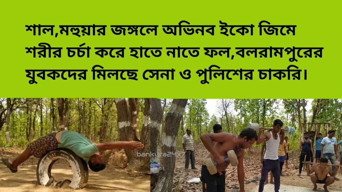 শাল,মহুয়ার জঙ্গলে অভিনব ইকো জিমে শরীরচর্চা,বলরামপুরের যুবকদের মিলছে সেনা ও পুলিশে চাকরি।