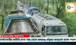 কালবৈশাখীর ঝটিতি ঝড়ে ভেঙ্গে পড়ল গাছ, অবরুদ্ধ বাঁকুড়া - ঝাড়গ্রাম রাজ্য সড়ক,থমকে গেল এম্বুলেন্স।