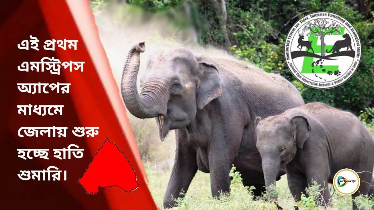 এই প্রথম এমস্ট্রিপস অ্যাপের মাধ্যমে জেলায় শুরু হচ্ছে হাতি শুমারি। এই প্রথম এমস্ট্রিপস অ্যাপের মাধ্যমে জেলায় শুরু হচ্ছে হাতি শুমারি।