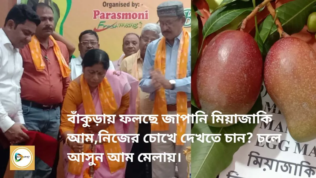 বাঁকুড়ায় ফলছে জাপানি মিয়াজাকি আম,নিজের চোখে দেখতে চান? চলে আসুন আম মেলায়। বাঁকুড়ায় ফলছে জাপানি মিয়াজাকি আম,নিজের চোখে দেখতে চান? চলে আসুন আম মেলায়।