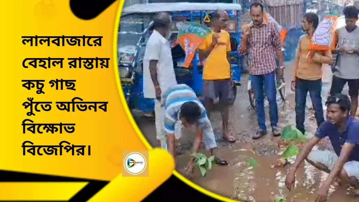 লালবাজারে বেহাল রাস্তায় কচু গাছ পুঁতে অভিনব বিক্ষোভ বিজেপির। লালবাজারে বেহাল রাস্তায় কচু গাছ পুঁতে অভিনব বিক্ষোভ বিজেপির।