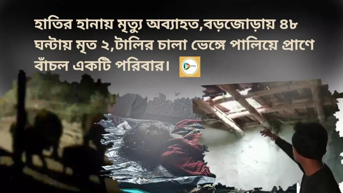হাতির হানায় মৃত্যু অব্যাহত,বড়জোড়ায় ৪৮ ঘন্টায় মৃত ২,টালির চালা ভেঙ্গে পালিয়ে প্রাণে বাঁচল একটি পরিবার। হাতির হানায় মৃত্যু অব্যাহত,বড়জোড়ায় ৪৮ ঘন্টায় মৃত ২,টালির চালা ভেঙ্গে পালিয়ে প্রাণে বাঁচল একটি পরিবার।