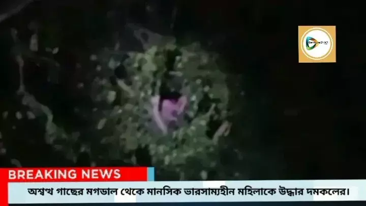 অশ্বত্থ গাছের মগডালে মহিলা!হুলুস্থুল জিঘাটি জুড়ে,তারপর কি হল? জেনে নিন এই প্রতিবেদনে। অশ্বত্থ গাছের মগডালে মহিলা!হুলুস্থুল জিঘাটি জুড়ে,তারপর কি হল? জেনে নিন এই প্রতিবেদনে।