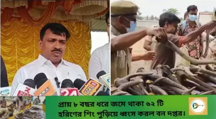 প্রায় ৮ বছর ধরে জমে থাকা ৬২ টি হরিণের শিং পুড়িয়ে নষ্ট করল  বন দপ্তর। প্রায় ৮ বছর ধরে জমে থাকা ৬২ টি হরিণের শিং পুড়িয়ে নষ্ট করল  বন দপ্তর।