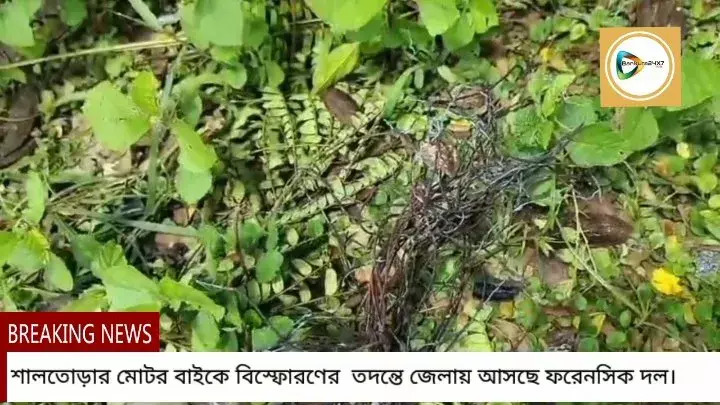 শালতোড়ার বাইক বিস্ফোরণের ঘটনার তদন্তে জেলায় আসছে ফরেনসিক বিশেষজ্ঞের দল। শালতোড়ার বাইক বিস্ফোরণের ঘটনার তদন্তে জেলায় আসছে ফরেনসিক বিশেষজ্ঞের দল।