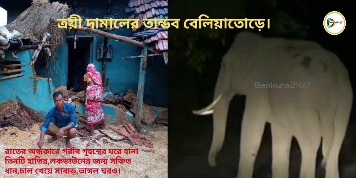 রাতের অন্ধকারে গরীব গৃ্হস্থের ঘরে হানা তিনটি হাতির,লকডাউনের জন্য সঞ্চিত ধান,চাল খেয়ে সাবাড়,ভাঙ্গল ঘরও। রাতের অন্ধকারে গরীব গৃ্হস্থের ঘরে হানা তিনটি হাতির,লকডাউনের জন্য সঞ্চিত ধান,চাল খেয়ে সাবাড়,ভাঙ্গল ঘরও।