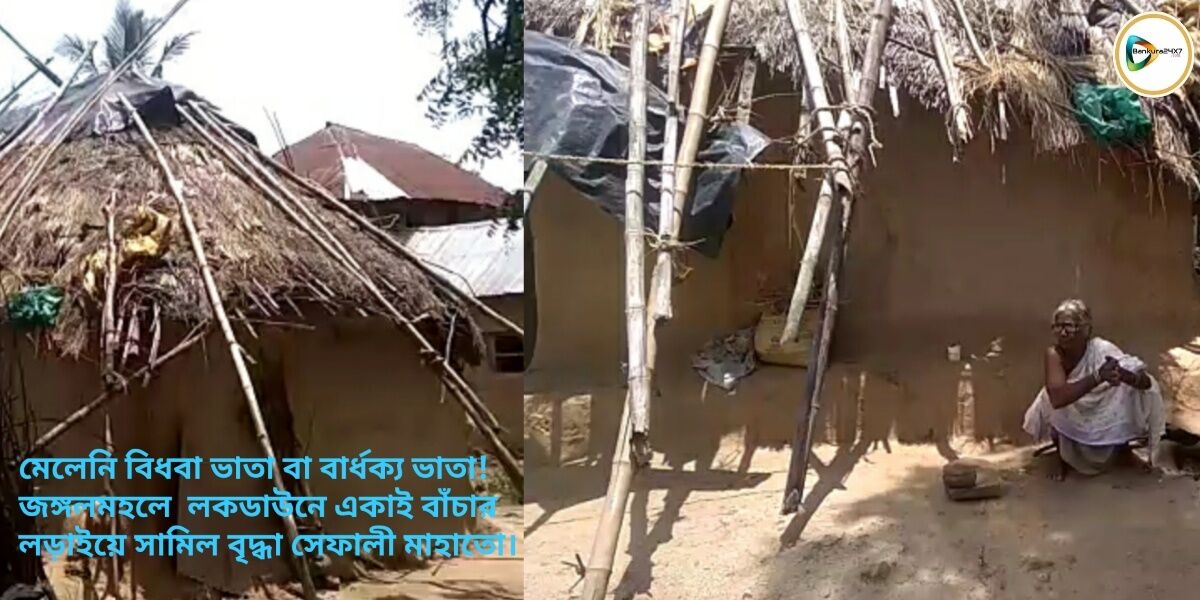 মেলেনি বিধবা ভাতা বা বার্ধক্য ভাতা!জঙ্গলমহলে লকডাউনে একাই বাঁচার লড়াইয়ে সামিল বৃদ্ধা সেফালী মাহাতো। মেলেনি বিধবা ভাতা বা বার্ধক্য ভাতা!জঙ্গলমহলে লকডাউনে একাই বাঁচার লড়াইয়ে সামিল বৃদ্ধা সেফালী মাহাতো।