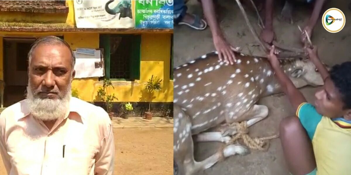 লকডাউনে লোকালয়ে ঢুকে পড়া হরিণের চিকিৎসা শুরু করল বন দপ্তর লকডাউনে লোকালয়ে ঢুকে পড়া হরিণের চিকিৎসা শুরু করল বন দপ্তর