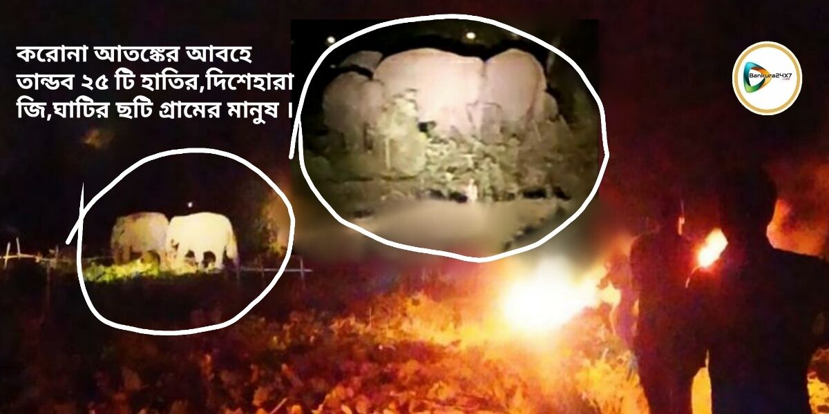 করোনা আতঙ্কের আবহে তান্ডব ২৫ টি হাতির,দিশেহারা জি,ঘাটির ছটি গ্রামের মানুষ । করোনা আতঙ্কের আবহে তান্ডব ২৫ টি হাতির,দিশেহারা জি,ঘাটির ছটি গ্রামের মানুষ ।
