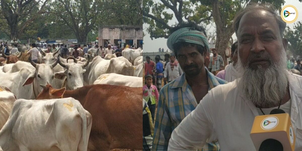 করোনা আতঙ্কে রাজ্যে স্কুল,কলেজ বন্ধ, অথচ,শুনুকপাহাড়ীতে হাজার,হাজার মানুষ আর গবাদি পশুর ভীড়ে হাট চলছে রমরমিয়ে। করোনা আতঙ্কে রাজ্যে স্কুল,কলেজ বন্ধ, অথচ,শুনুকপাহাড়ীতে হাজার,হাজার মানুষ আর গবাদি পশুর ভীড়ে হাট চলছে রমরমিয়ে।