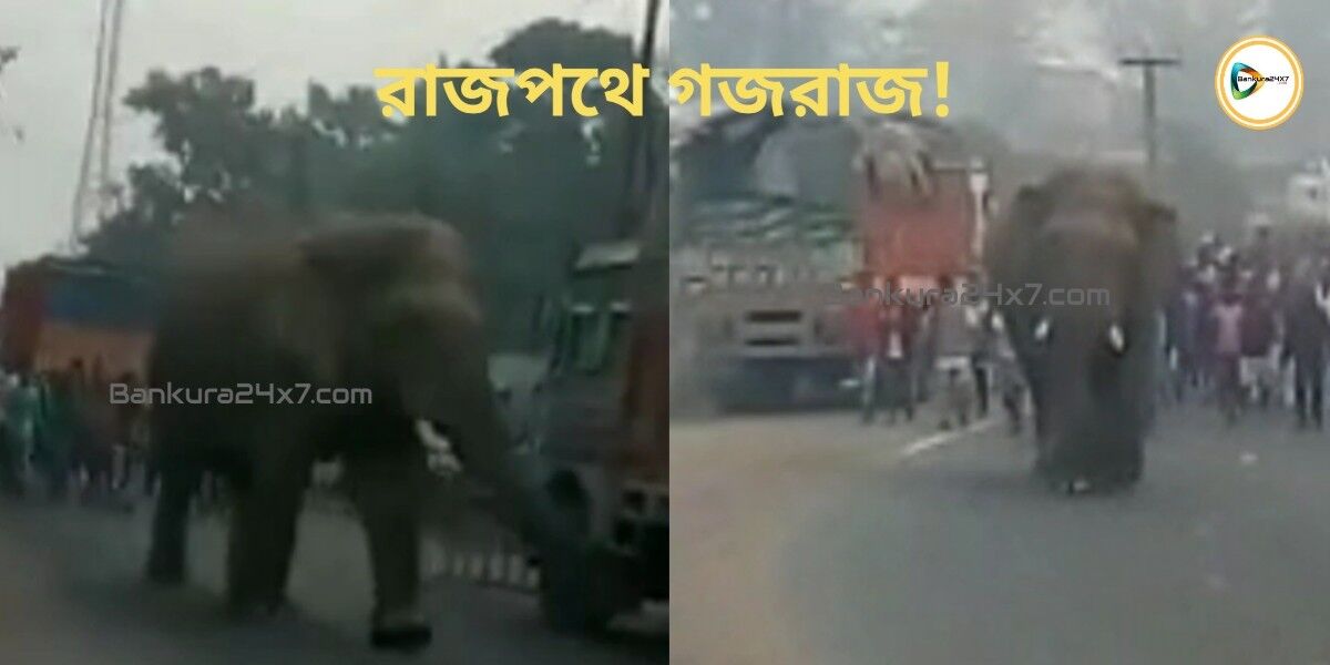 রাজপথে দাপিয়ে বেড়াল গজরাজ! দেখুন এক্সক্লুসিভ 🎦 ভিডিও প্রতিবেদন। রাজপথে দাপিয়ে বেড়াল গজরাজ! দেখুন এক্সক্লুসিভ 🎦 ভিডিও প্রতিবেদন।