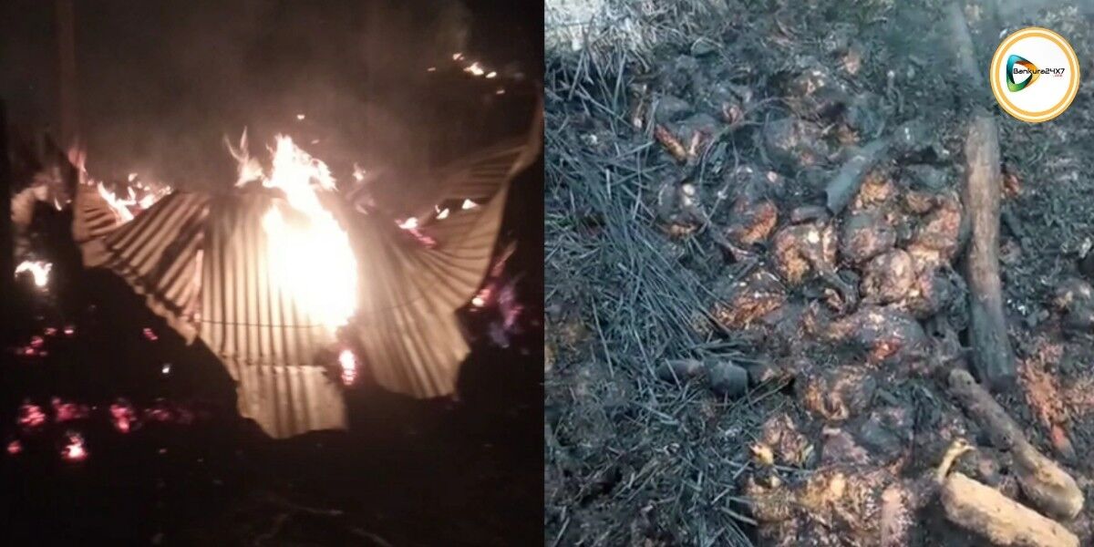 বেলিয়াতোড়ে পোল্ট্রি ফার্মে আগুন, ভস্মীভূত প্রায় আড়াই হাজার মুরগী! বেলিয়াতোড়ে পোল্ট্রি ফার্মে আগুন, ভস্মীভূত প্রায় আড়াই হাজার মুরগী!