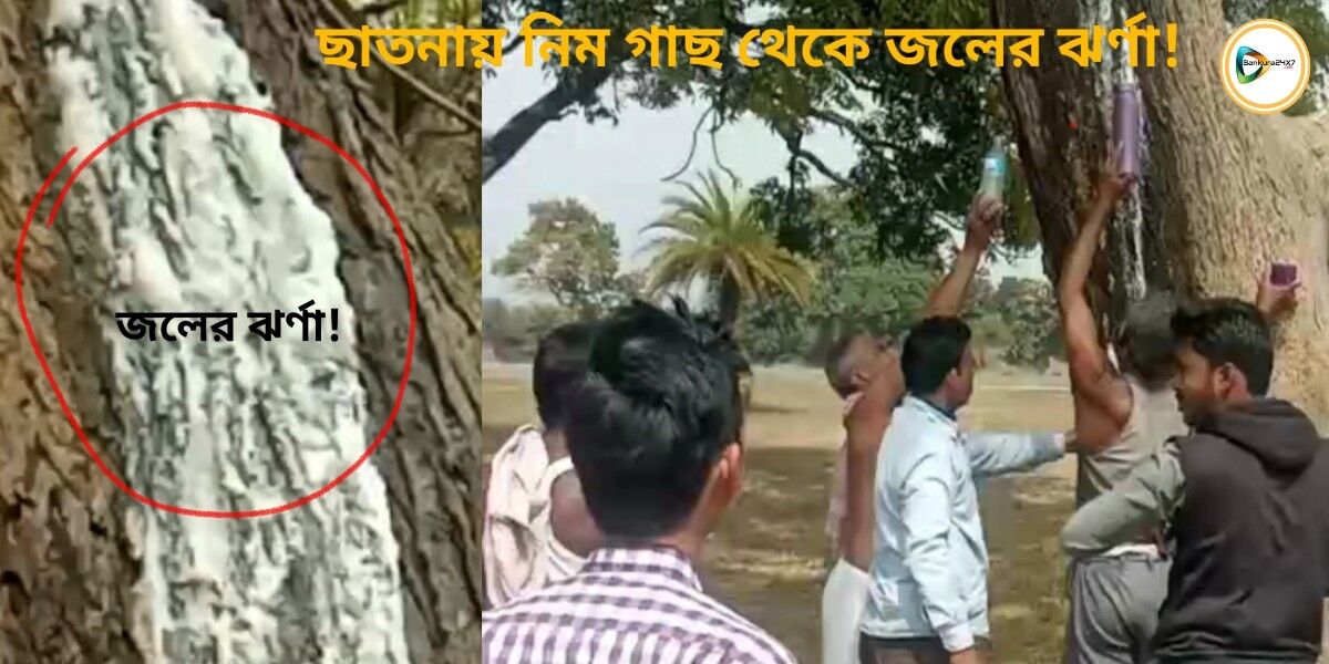 নিম গাছ থেকে জলের ঝর্ণা! এই জল বোতল বন্দি করতে উপচে পড়চে ভীড়!কেন ঘটছে এমনটা?জেনে নিন। নিম গাছ থেকে জলের ঝর্ণা! এই জল বোতল বন্দি করতে উপচে পড়চে ভীড়!কেন ঘটছে এমনটা?জেনে নিন।