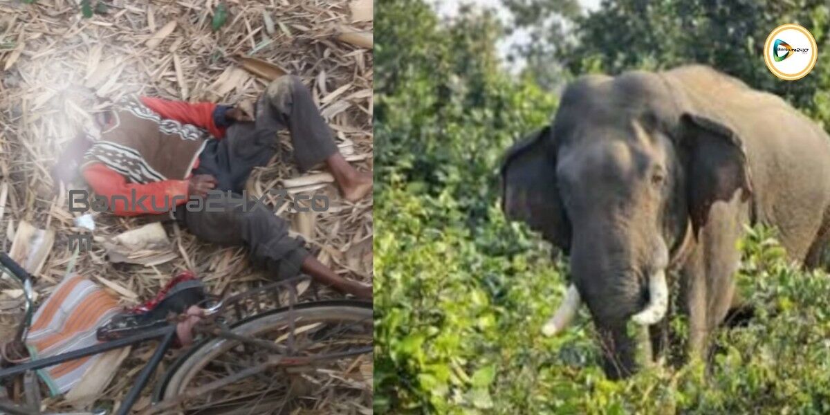 জেলায় ফের হাতির হানায় মৃত্যু,বেলিয়াতোড়ে মৃত বন দপ্তরের অস্থায়ী শ্রমিক। জেলায় ফের হাতির হানায় মৃত্যু,বেলিয়াতোড়ে মৃত বন দপ্তরের অস্থায়ী শ্রমিক।