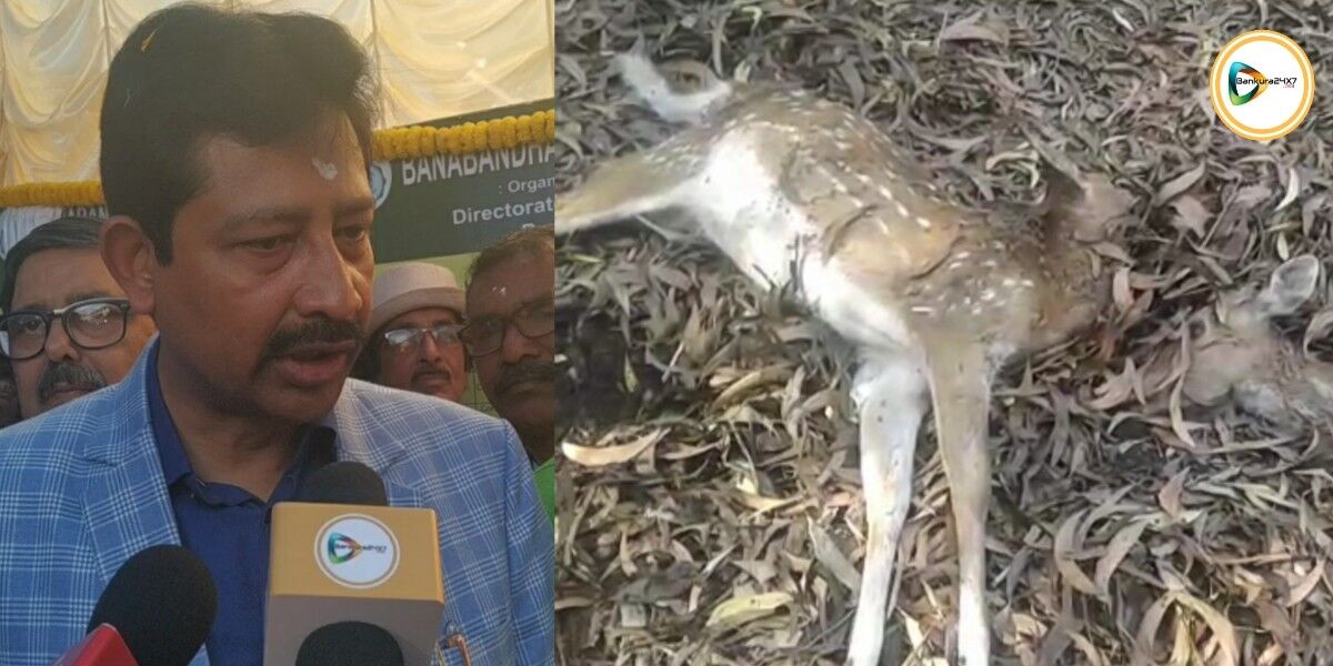 মুকুটমনিপুরে তিন হরিণের মৃত্যুর ঘটনায় সাত দিনের মধ্যে তদন্ত কমিটিকে রিপোর্ট জমা দেওয়ার নির্দেশ বন মন্ত্রীর। মুকুটমনিপুরে তিন হরিণের মৃত্যুর ঘটনায় সাত দিনের মধ্যে তদন্ত কমিটিকে রিপোর্ট জমা দেওয়ার নির্দেশ বন মন্ত্রীর।