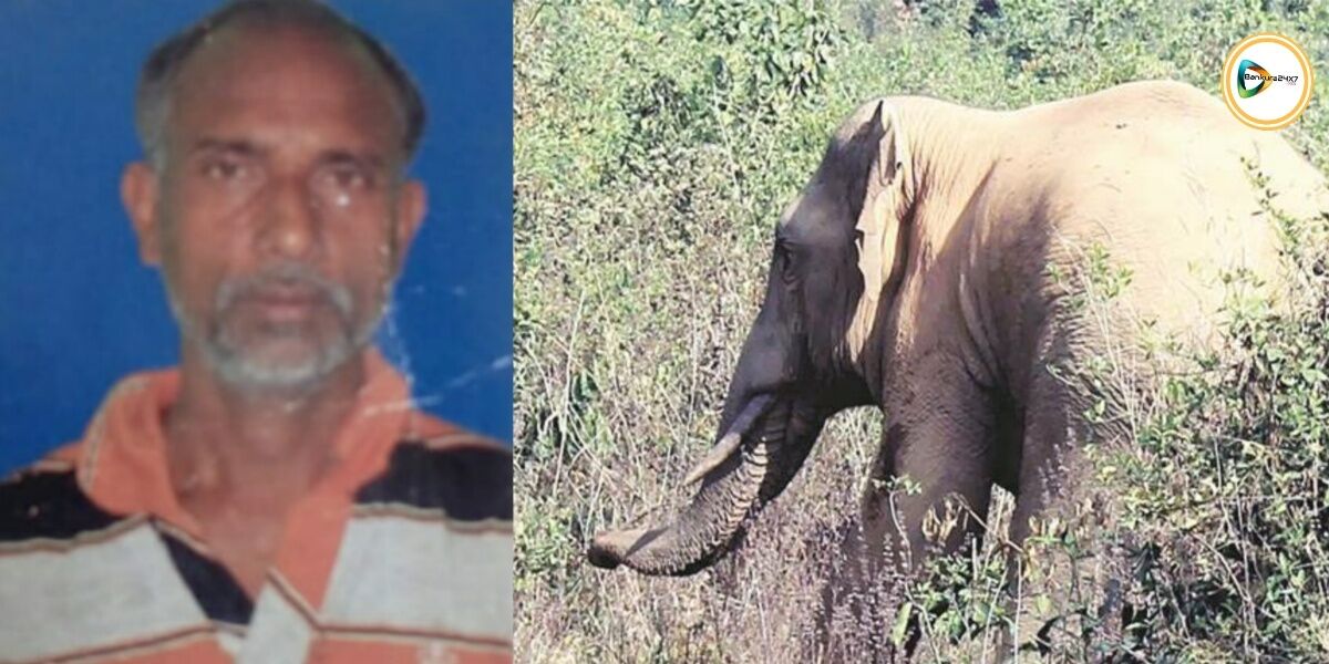 বেলিয়াতোড়ে উন্মত্ত আবাসিক হাতির আক্রমণে মৃত্যু গ্রামবাসীর। নুতন বছরেই হাতির হানায় জেলায় মৃত্যু ৫ জনের। বেলিয়াতোড়ে উন্মত্ত আবাসিক হাতির আক্রমণে মৃত্যু গ্রামবাসীর। নুতন বছরেই হাতির হানায় জেলায় মৃত্যু ৫ জনের।