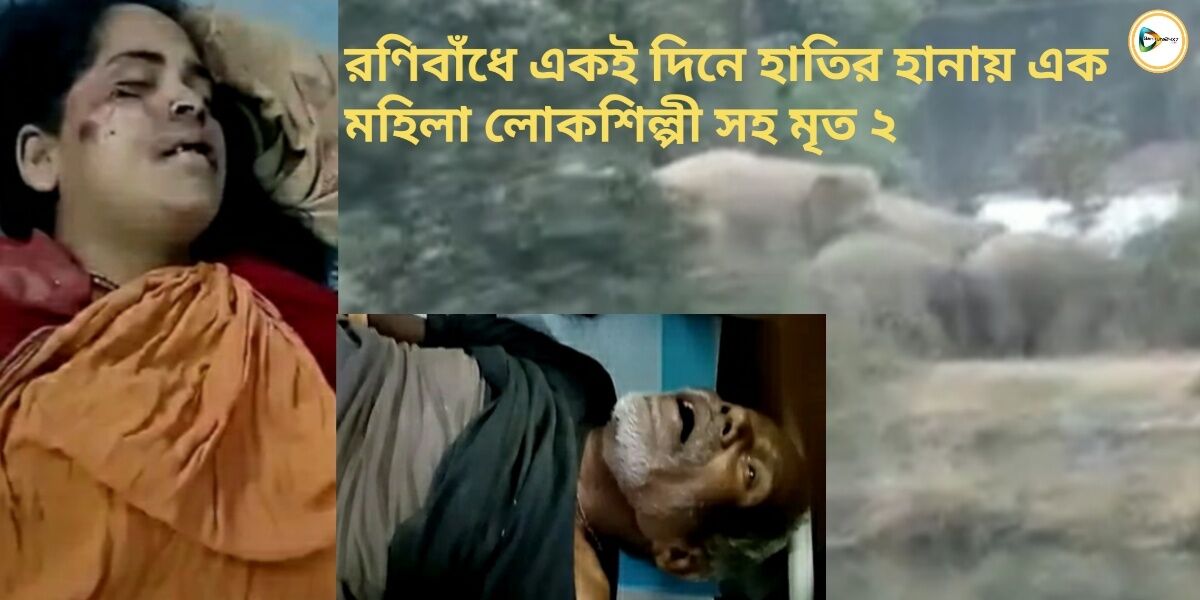 রানিবাঁধে একই দিনে হাতির আক্রমণে মহিলা লোক শিল্পী সহ ২ জনের মৃত্যু। জেলার জঙ্গল মহল জুড়ে ছড়াল হাতির আতঙ্ক!