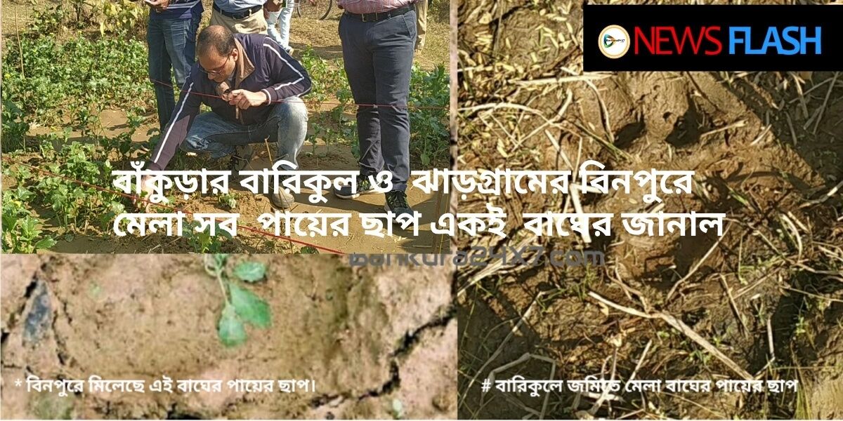 বাঁকুড়ার বারিকুল ও  ঝাড়গ্রামের বিনপুরে মেলা সব  পায়ের ছাপ একই বাঘের পায়ের বলে জানাল বন দপ্তর। এবং এই একটি বাঘই বারিকুল ও বিনপুরে দাপিয়ে বেড়াচ্ছে বলে বাঘের পায়ের ছাপে প্রমানিত বলে, দাবী বন দপ্তরের। বাঁকুড়ার বারিকুল ও  ঝাড়গ্রামের বিনপুরে মেলা সব  পায়ের ছাপ একই বাঘের পায়ের বলে জানাল বন দপ্তর। এবং এই একটি বাঘই বারিকুল ও বিনপুরে দাপিয়ে বেড়াচ্ছে বলে বাঘের পায়ের ছাপে প্রমানিত বলে, দাবী বন দপ্তরের।