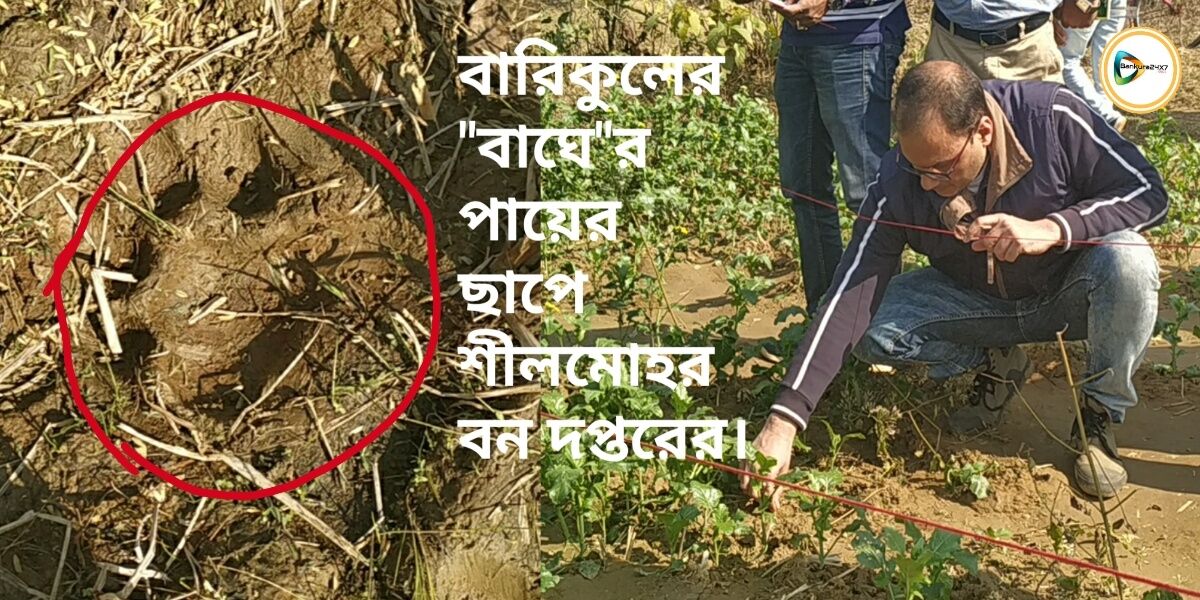 বারিকুলের বাঘের পায়ের ছাপে শীলমোহর বন দপ্তরের। ছাপ বাঘের স্পষ্ট জানালেন মুখ্য বনপাল (সেন্ট্রাল) রাজীব শর্মা। বারিকুলের বাঘের পায়ের ছাপে শীলমোহর বন দপ্তরের। ছাপ বাঘের স্পষ্ট জানালেন মুখ্য বনপাল (সেন্ট্রাল) রাজীব শর্মা।