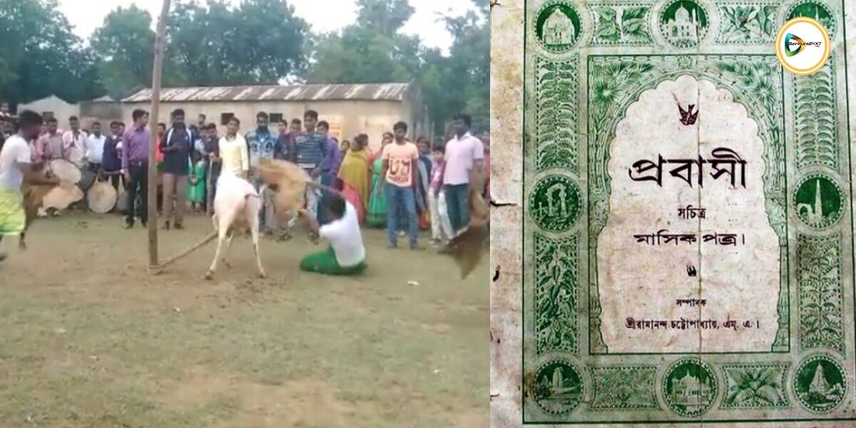 দেখুন গরুখুটা উৎসবের ভিডিও, যা নিয়ে প্রবন্ধ প্রকাশিত হয়েছিল প্রবাসী পত্রিকাতেও।