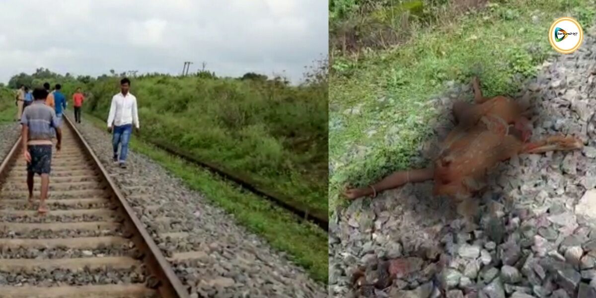পাত্রসায়রে বিডিআর লাইনে ঝাঁপ দিয়ে আত্মঘাতী এক মানসিক ভারসাম্যহীন মহিলা। পাত্রসায়রে বিডিআর লাইনে ঝাঁপ দিয়ে আত্মঘাতী এক মানসিক ভারসাম্যহীন মহিলা।