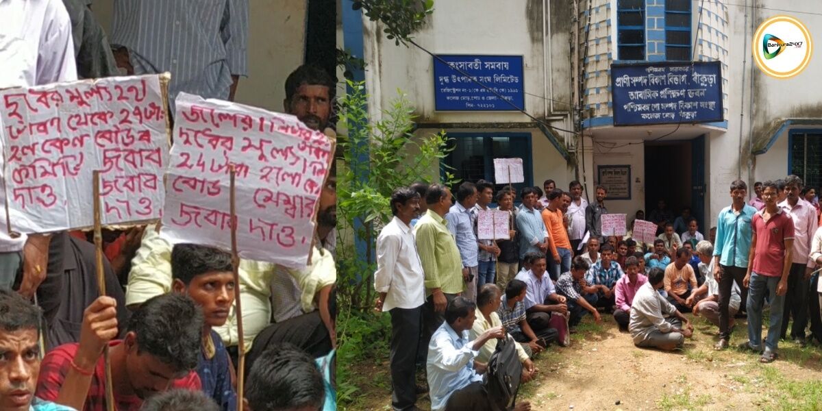 ক্রয় মূল্য না বাড়ালে, আর কামুলকে দুধ বিক্রি নয়, হুমকী সরবরাহকারী সমবায় সদস্যদের। ক্রয় মূল্য না বাড়ালে, আর কামুলকে দুধ বিক্রি নয়, হুমকী সরবরাহকারী সমবায় সদস্যদের।