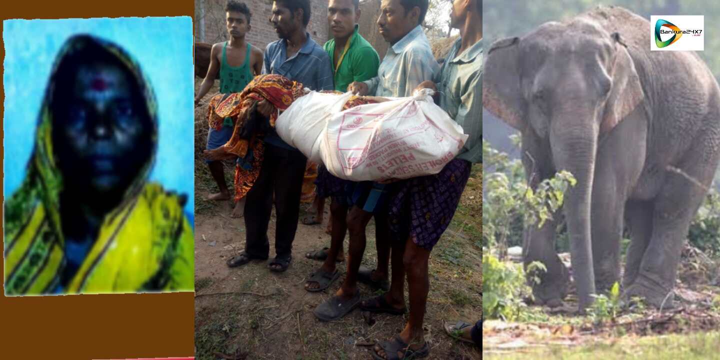 বড়জোড়ায় হাতির হানার মৃত্যু বৃদ্ধার,হাতি ঠেকানোর দাবীতে সরব বাসিন্দারা। বড়জোড়ায় হাতির হানার মৃত্যু বৃদ্ধার,হাতি ঠেকানোর দাবীতে সরব বাসিন্দারা।