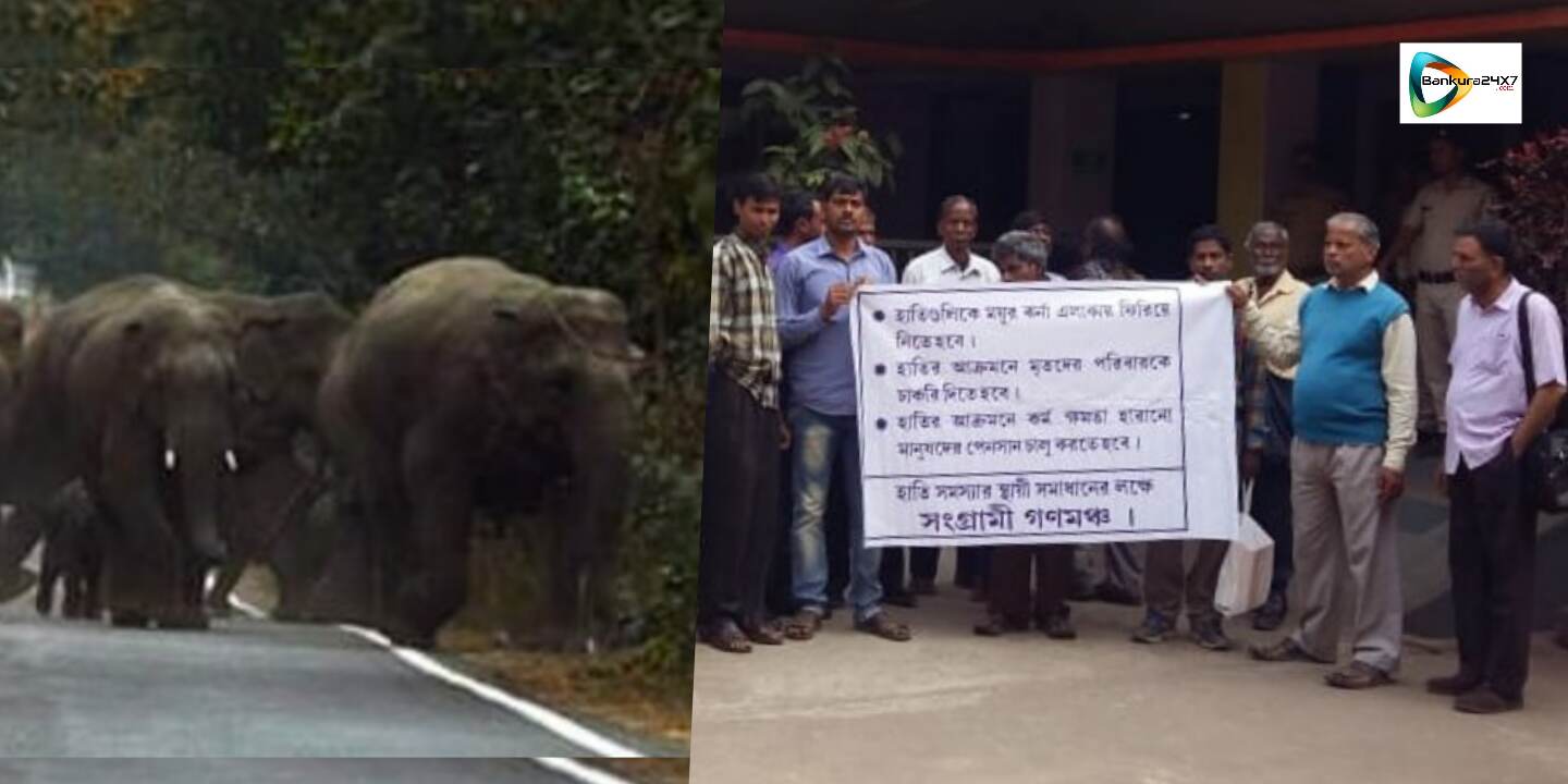 জেলায় ঘাঁটিগাড়া হাতির পাল ময়ূরঝর্ণায় ফেরানোর দাবীতে সরব হল সংগ্রামী গণমঞ্চ। জেলায় ঘাঁটিগাড়া হাতির পাল ময়ূরঝর্ণায় ফেরানোর দাবীতে সরব হল সংগ্রামী গণমঞ্চ।