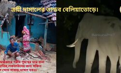 রাতের অন্ধকারে গরীব গৃ্হস্থের ঘরে হানা তিনটি হাতির,লকডাউনের জন্য সঞ্চিত ধান,চাল খেয়ে সাবাড়,ভাঙ্গল ঘরও।